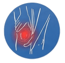 Knee